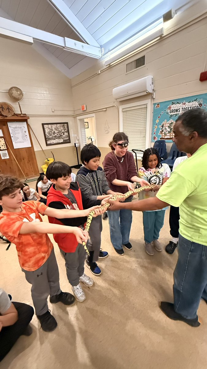 GMSVikings's tweet image. Night 2, Session 1 of Outdoor Ed was all about the animals! 🦎🐍🕷️🐸 Students learned about lizards, snakes, tarantulas, and frogs—and even got the chance to pet some! Such a fun (and brave!) group of explorers tonight. 🌿✨ #OutdoorEd #HandsOnLearning