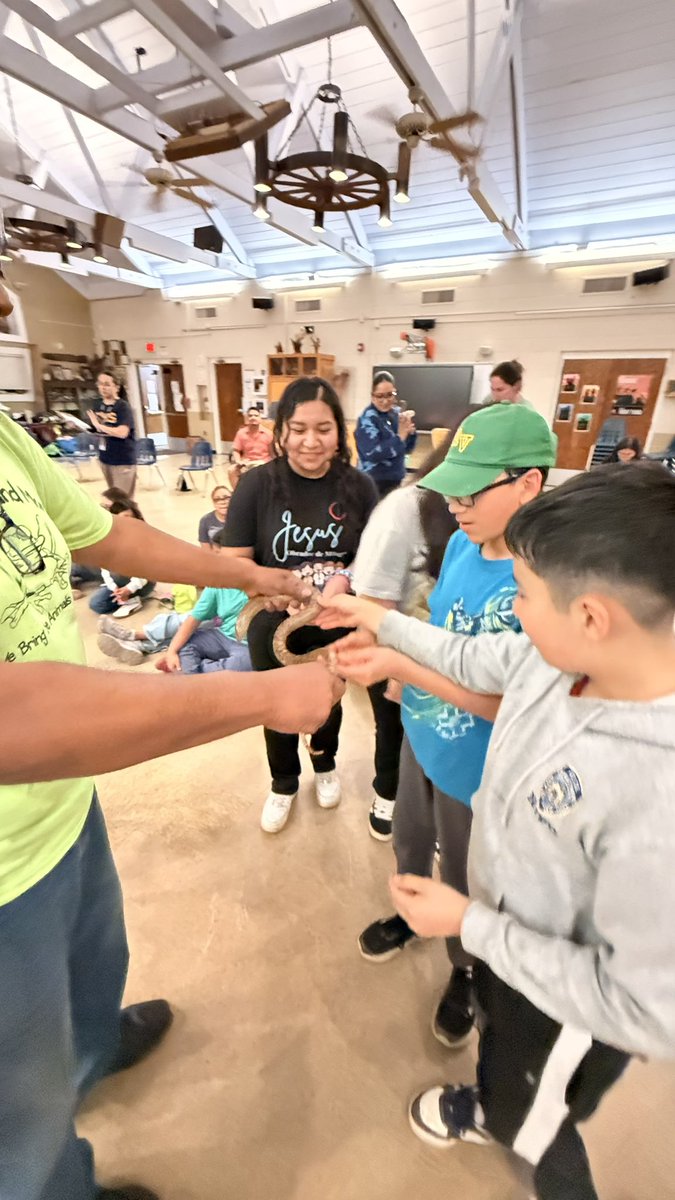 GMSVikings's tweet image. Night 2, Session 1 of Outdoor Ed was all about the animals! 🦎🐍🕷️🐸 Students learned about lizards, snakes, tarantulas, and frogs—and even got the chance to pet some! Such a fun (and brave!) group of explorers tonight. 🌿✨ #OutdoorEd #HandsOnLearning
