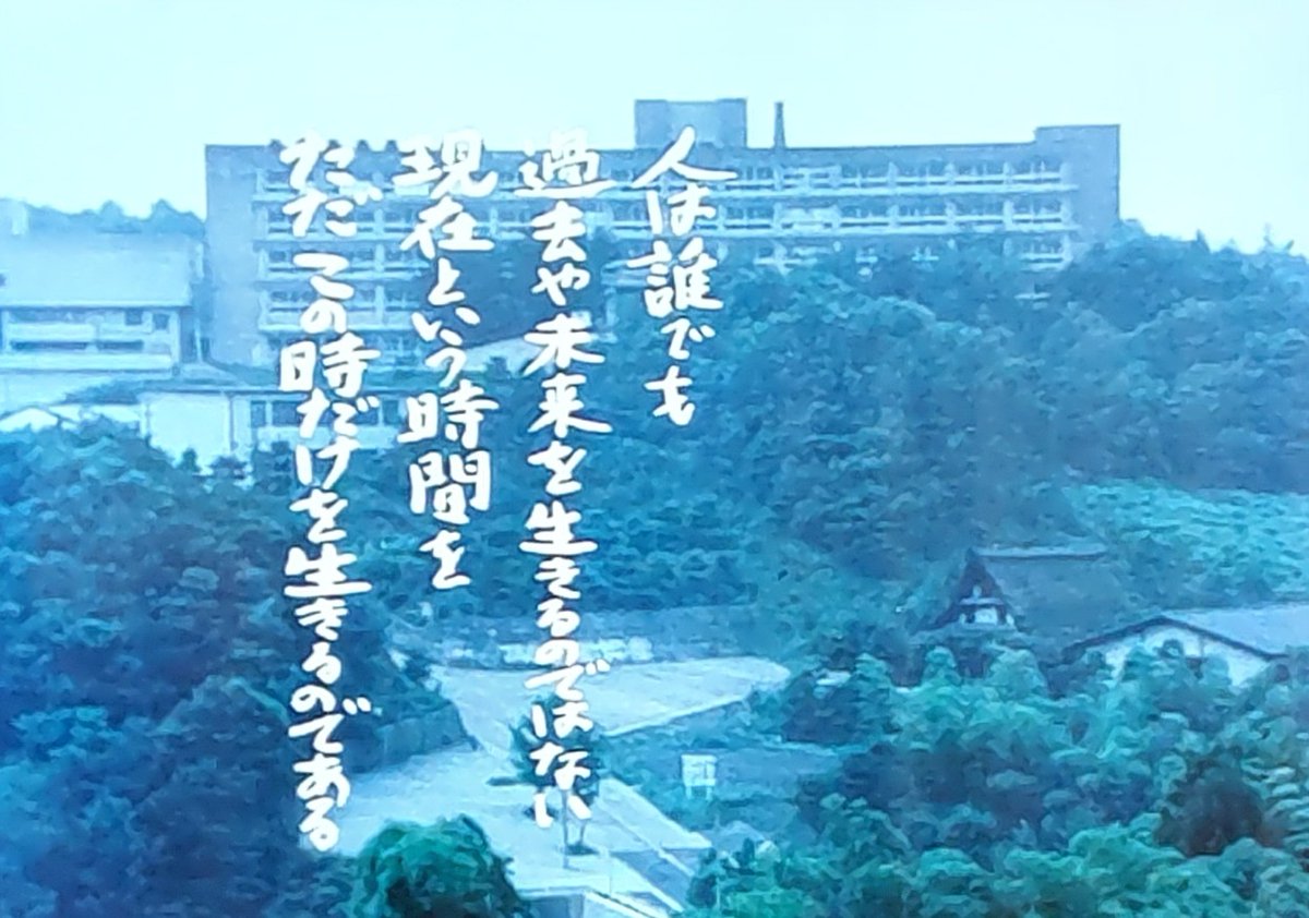 茶坊主 tweet media