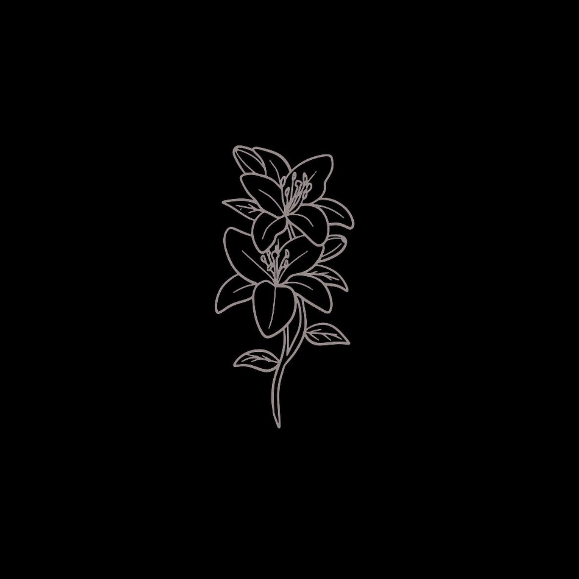 ๐ ๐๐ฉ๐ฐ๐ถ๐ด๐ข๐ฏ๐ฅ ๐๐ช๐ฆ๐ด tweet media