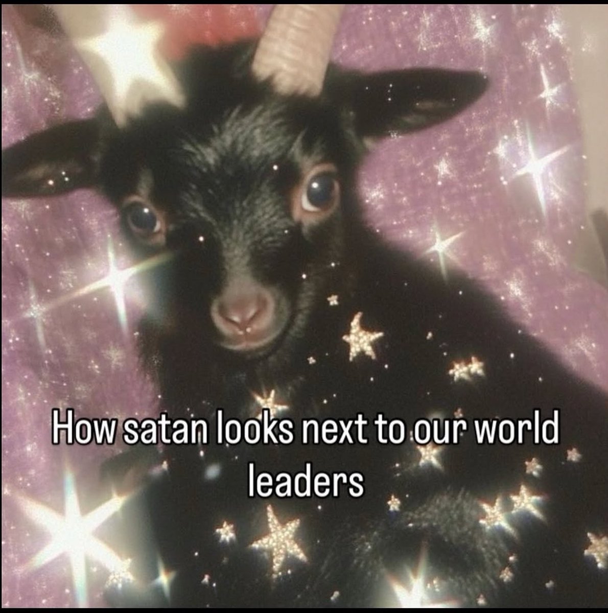 ★☭MassStrikeNow☭★ (@strike_dr) on Twitter photo 