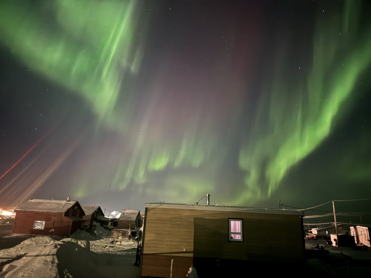 Tony Uluadluak tweet media