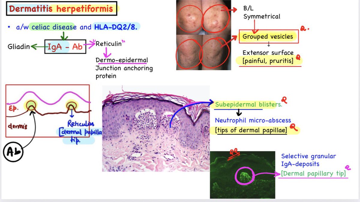 Dr Devesh Mishra tweet media