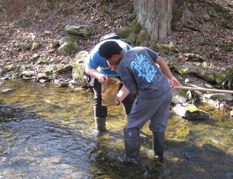 Dr. Sofía Grant-Dewitt tweet media