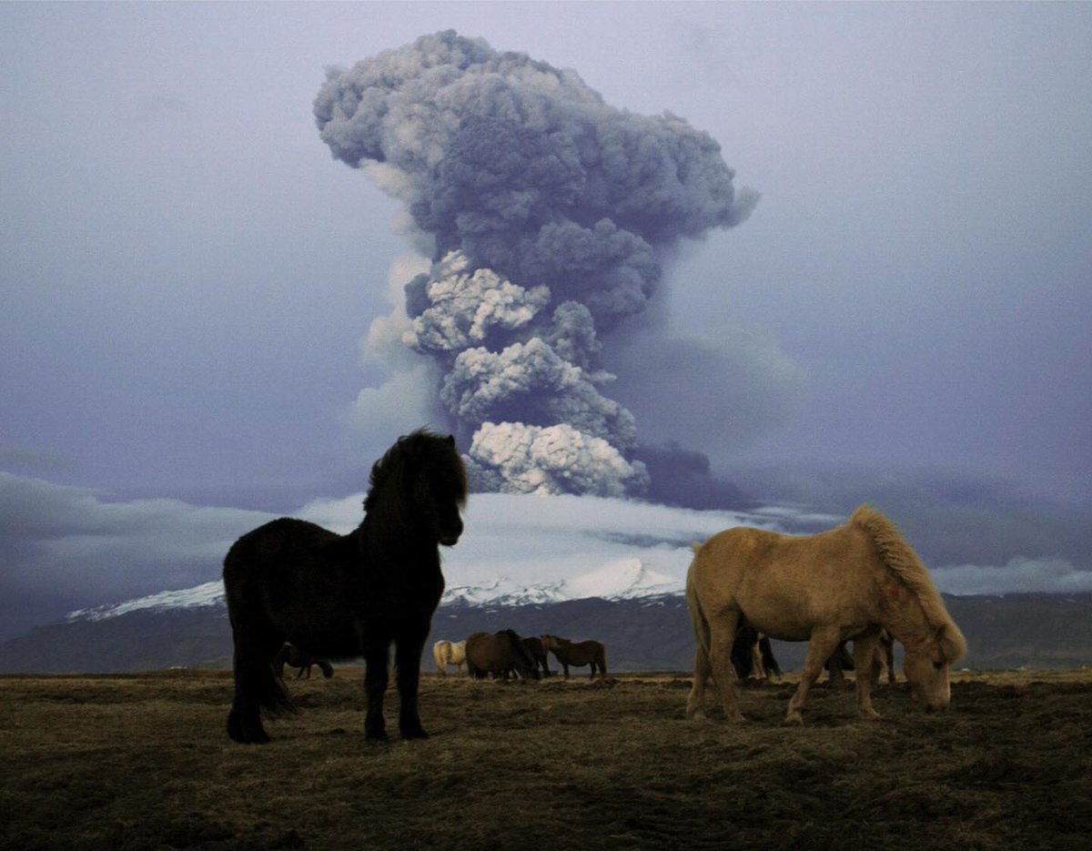 compositioning's tweet photo. Horses framed by erupting volcanos https://t.co/XScq8IxGgG