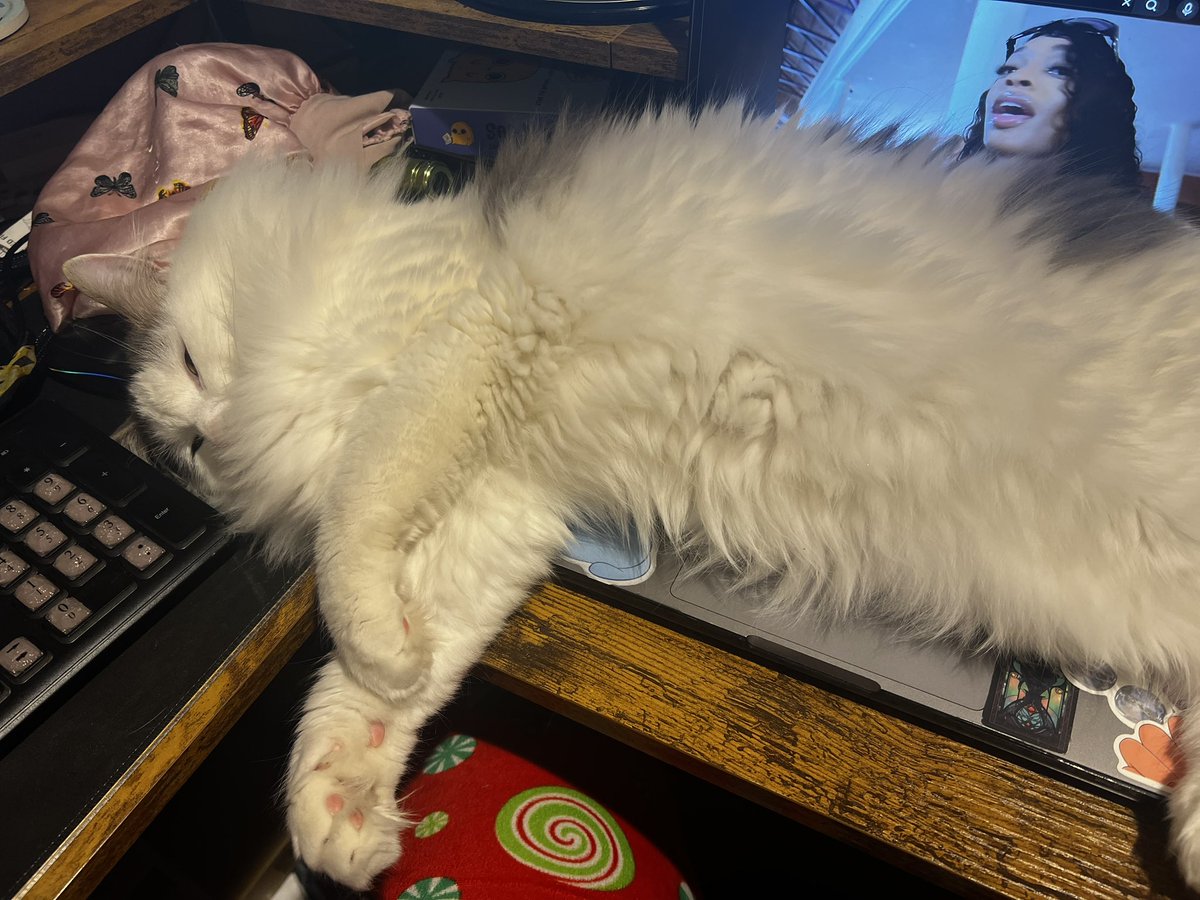 Diq Dicula tweet media