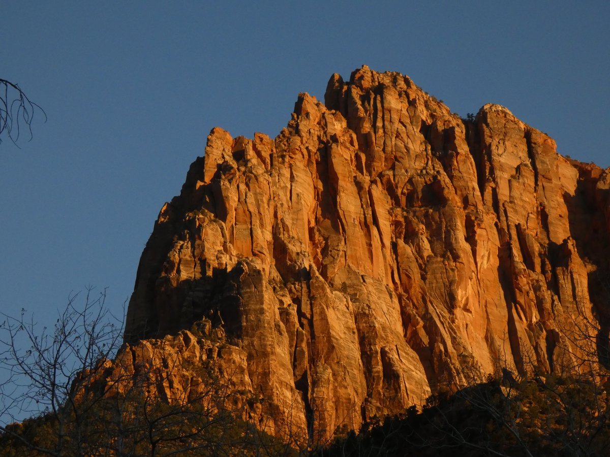 egg 🇵🇸 tweet media