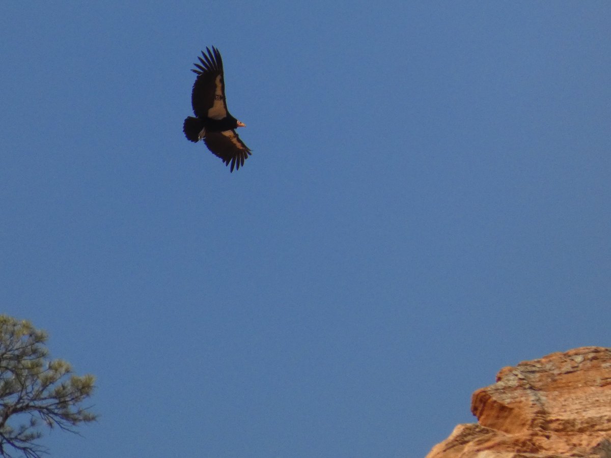 egg 🇵🇸 tweet media