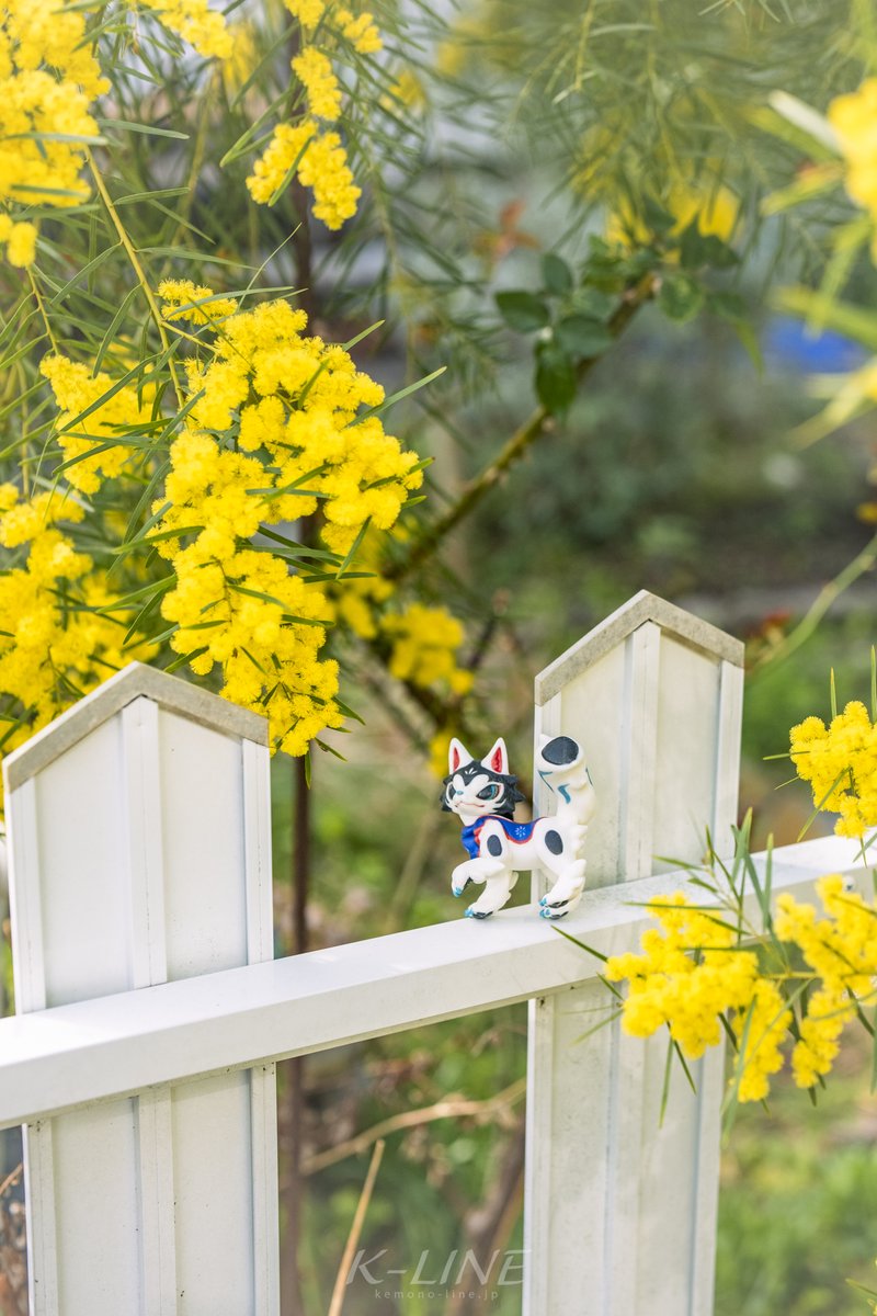 𝗞-𝗟𝗜𝗡𝗘🐦‍⬛ tweet media