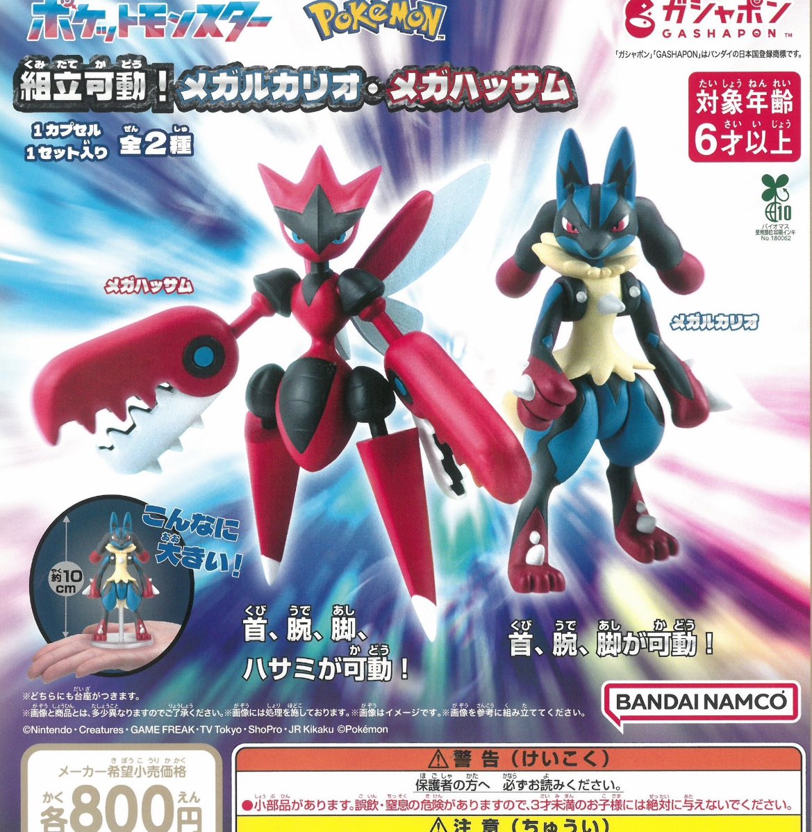 ほんちゃん tweet media