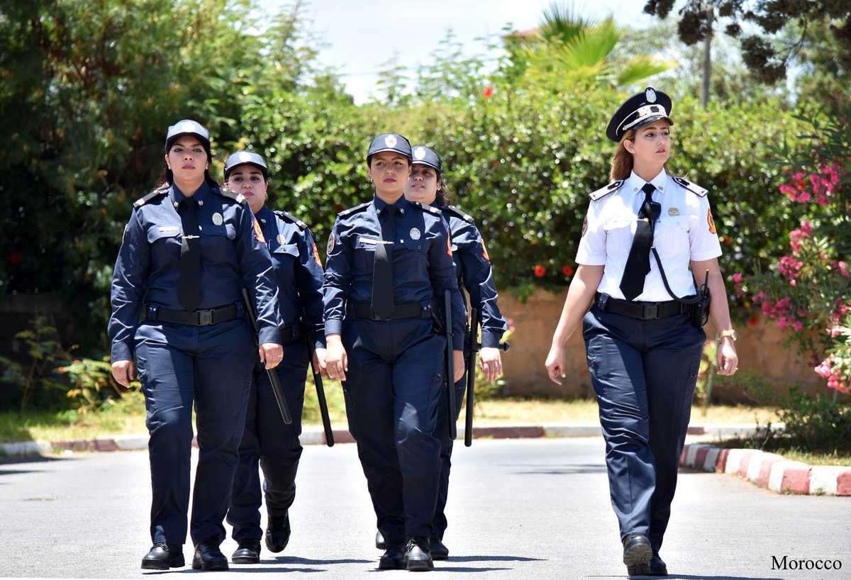 INTERPOL Training tweet media