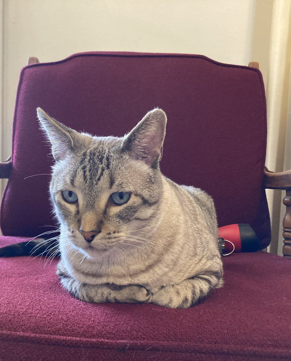 Kade Kalka tweet media