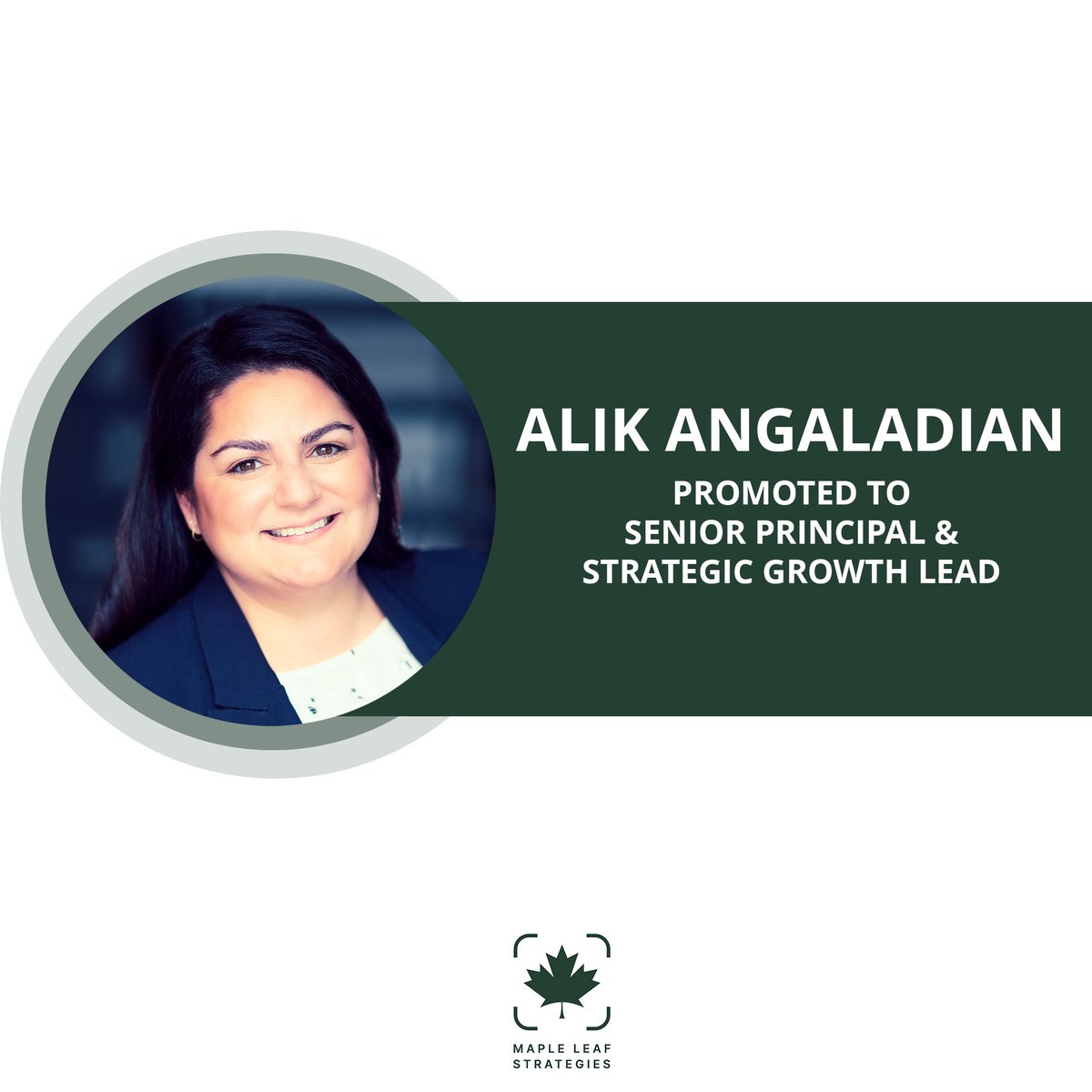 Maple Leaf Strategies tweet media
