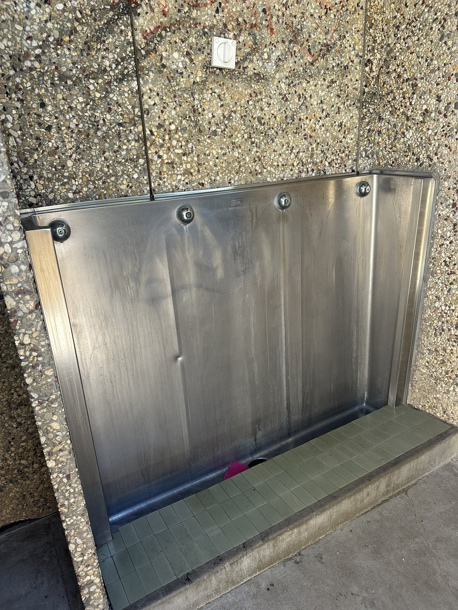 Dans Gay tweet media