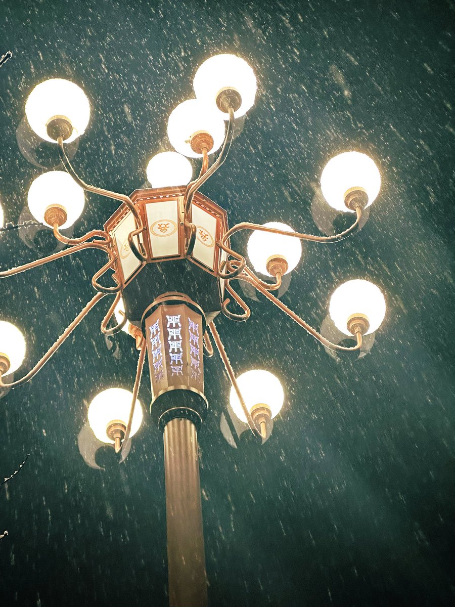 david_andrew123's tweet photo. Snowflakes dance in the night air ❄️, and the warm street lamps glow like little suns. Walking through the quiet, snowy streets, the air is fresh and crisp—this rare, gentle magic makes every step feel like a romantic little adventure.

#SnowyNight #WinterRomance #UrbanSnowscape https://t.co/jLNQZBQxa7