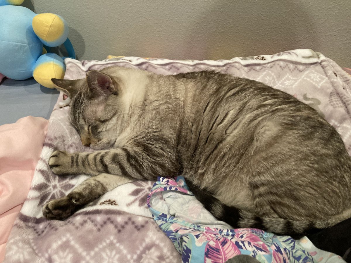 Kade Kalka tweet media