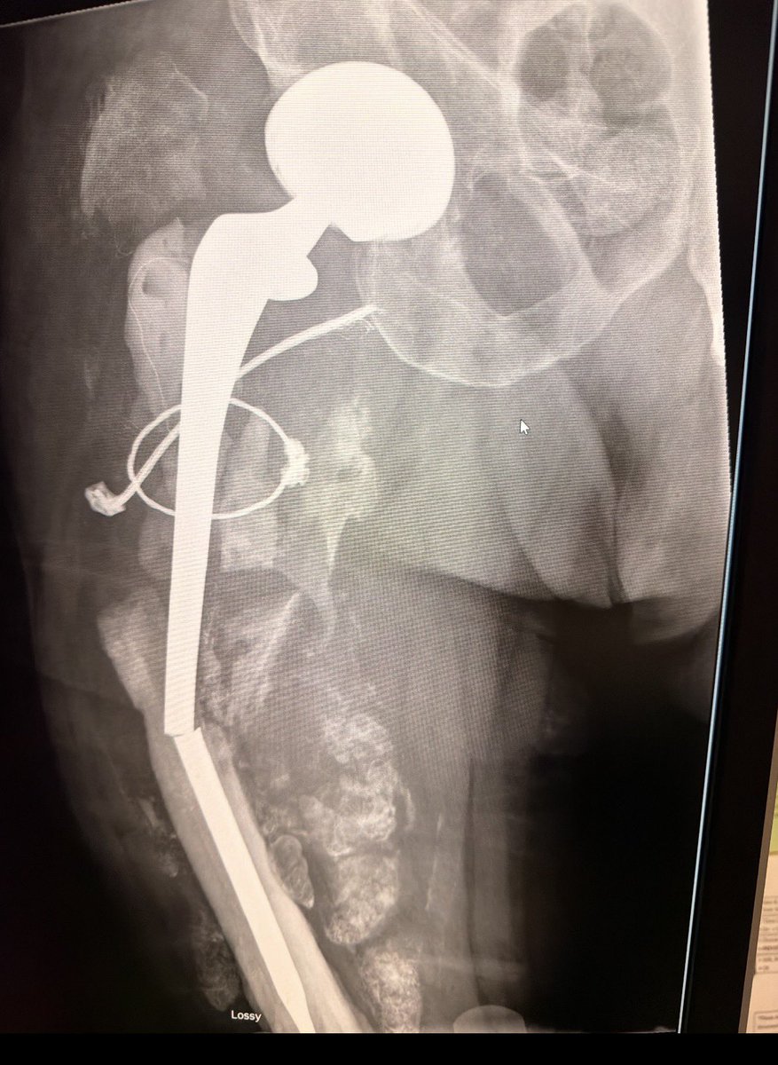 disasterplasty tweet media