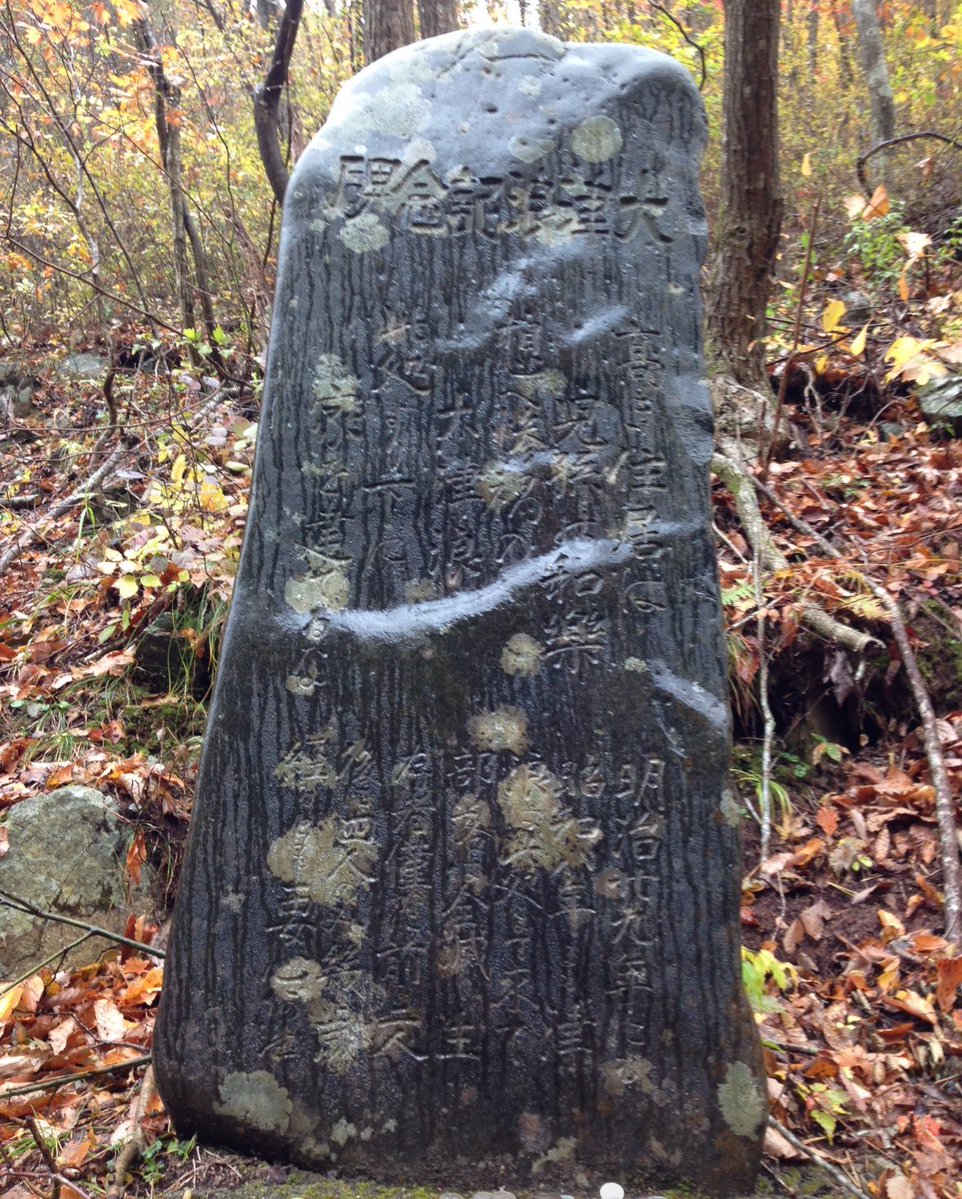 こんでんえいねんしざいほう tweet media