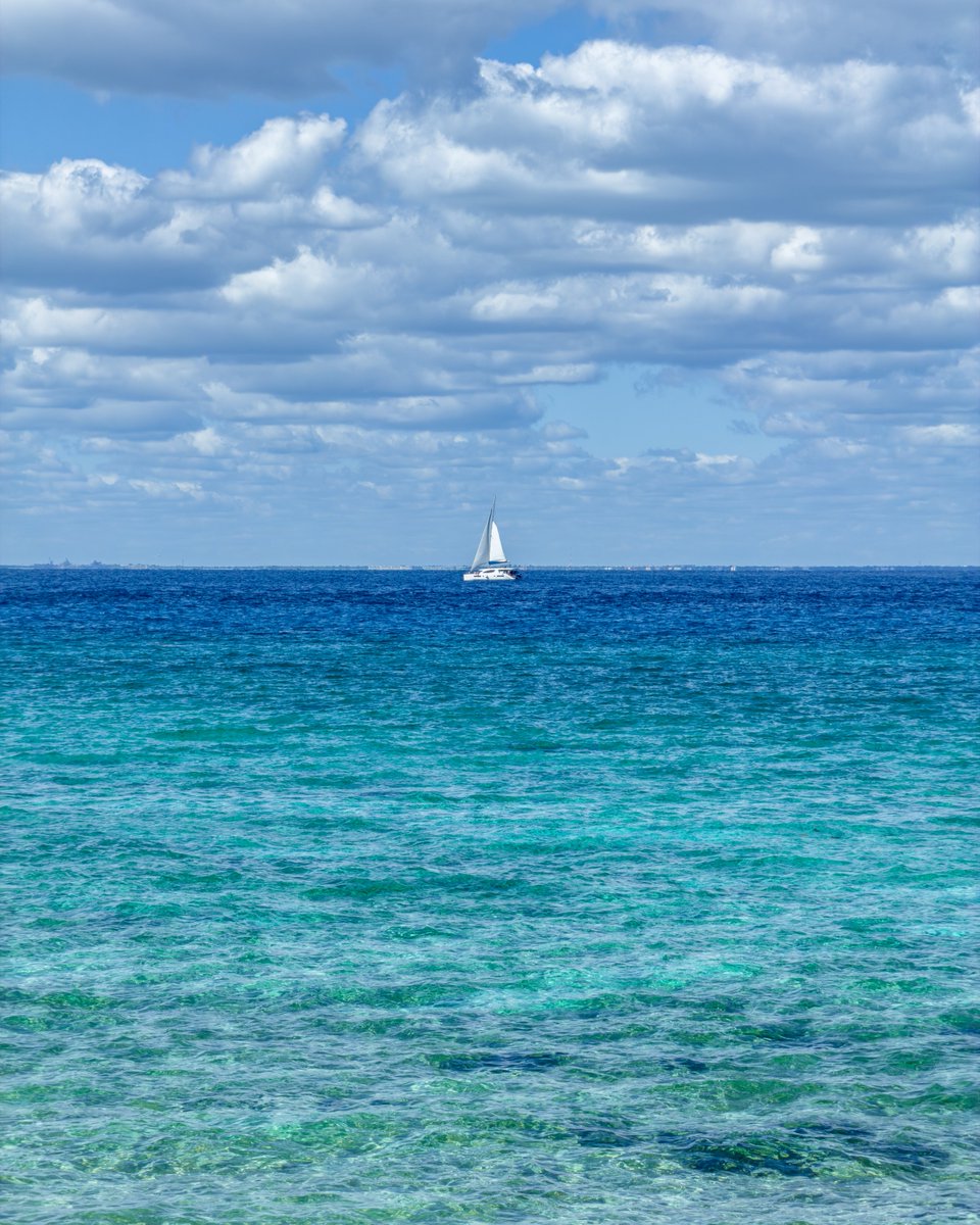 CzmHotels's tweet photo. ☀️ Así se vive un sábado en Cozumel

Si estás leyendo esto…
te hace falta un sábado así.
Sin alarma.
Sin pendientes.
Con el mar enfrente y el sol en la piel.

#Cozumel #CaribeMexicano #SabadoPerfecto #VacacionesEnCozumel https://t.co/EWfUOPDosp
