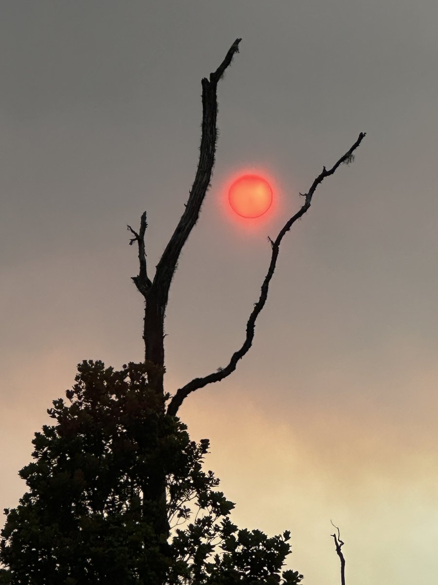 lineaton's tweet photo. Sun over Episode 43 Kilauea Eruption from my property! 🌋 Hawaii https://t.co/L5pFXINmxF