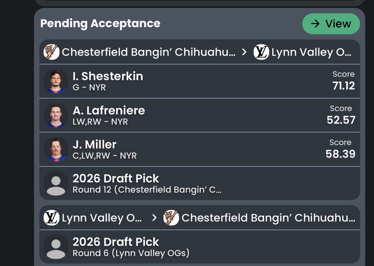 HockeyFan77 tweet media