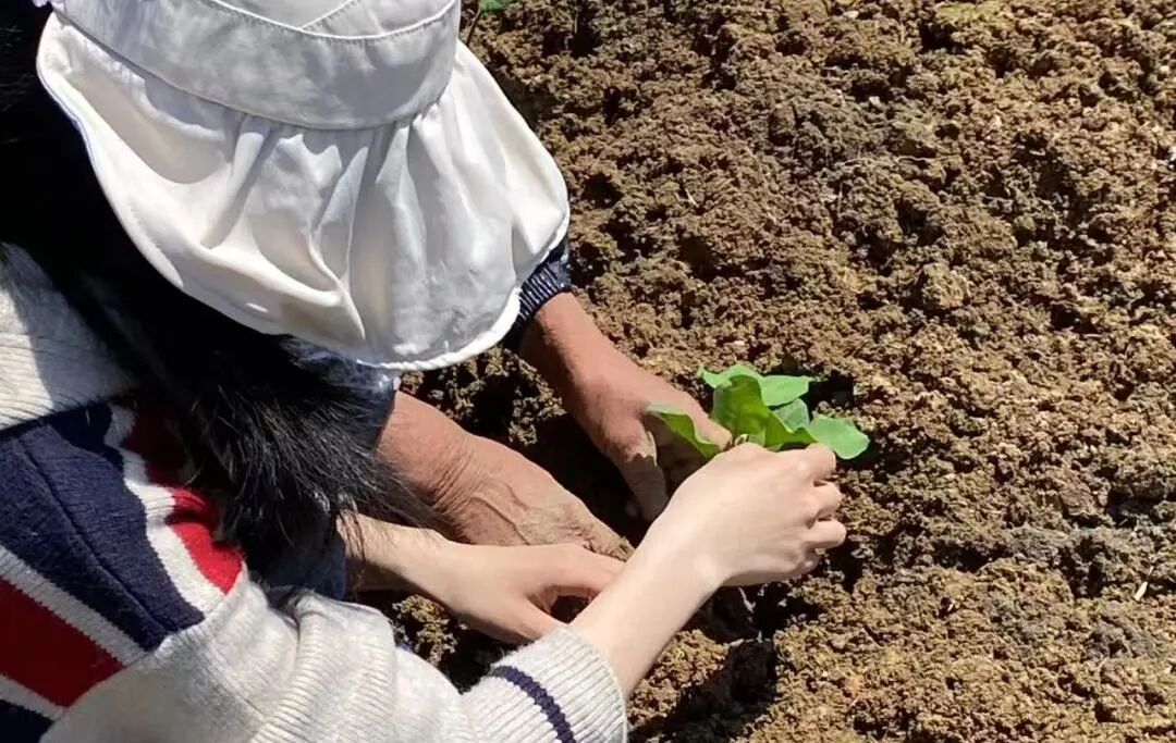 Zhejiang University tweet media