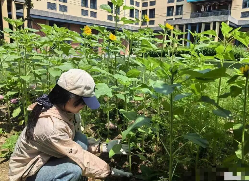Zhejiang University tweet media