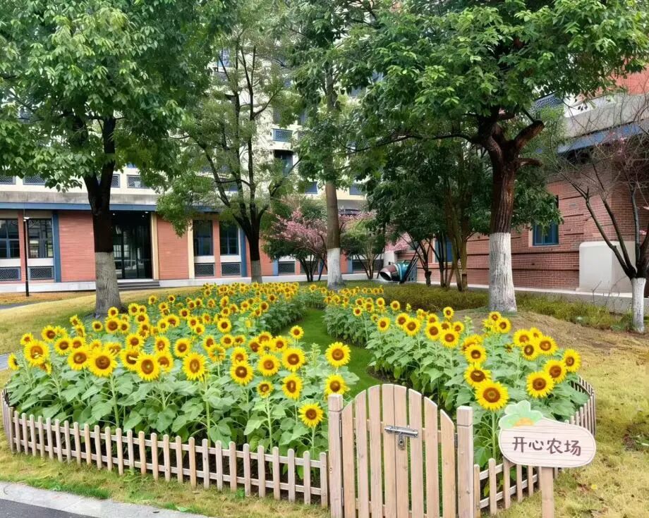 Zhejiang University tweet media