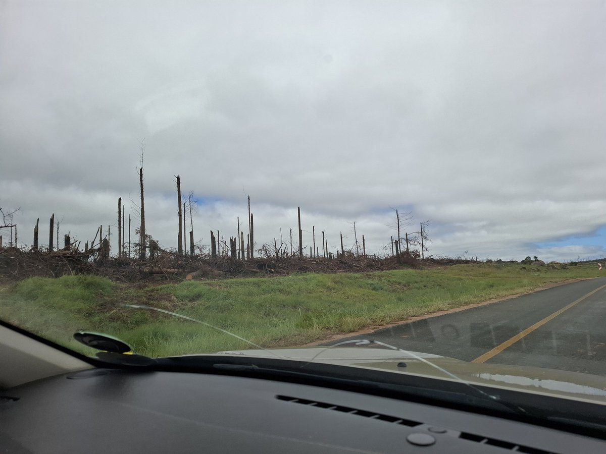 Michael Tellinger tweet media