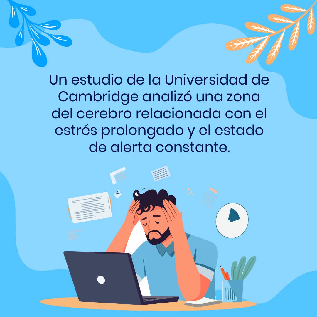 Psicofarma tweet media