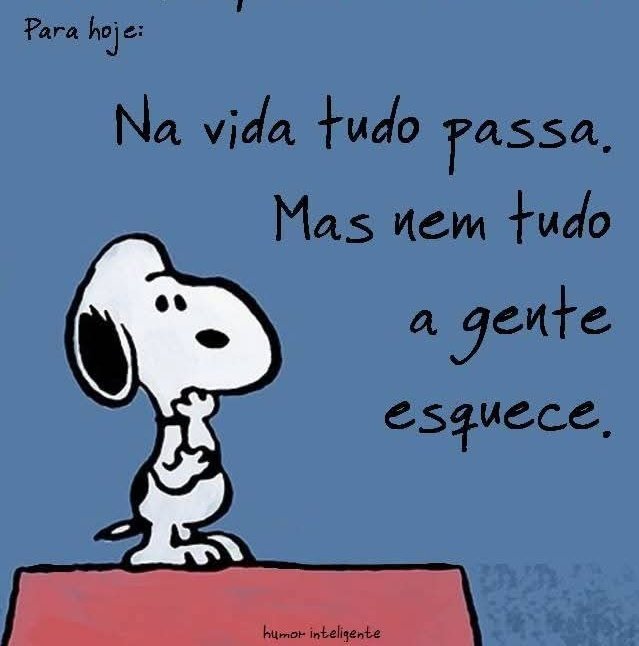 91Amancio's tweet image. #vida
#gente 
#esquece 

#sdv