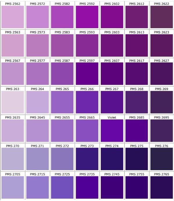 violet✧*｡ tweet media