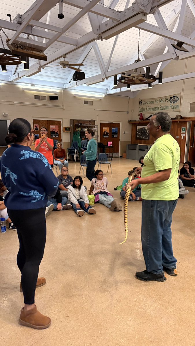 GMSVikings's tweet image. You better believe this proud principal had to model bravery for our Vikings! 💪🦎🐍🕷️🐸 I touched or held every single animal—lizards, snakes, tarantulas, and frogs included! Outdoor Ed adventures continue to make unforgettable memories. 🌲✨ #VikingPride #OutdoorEd
