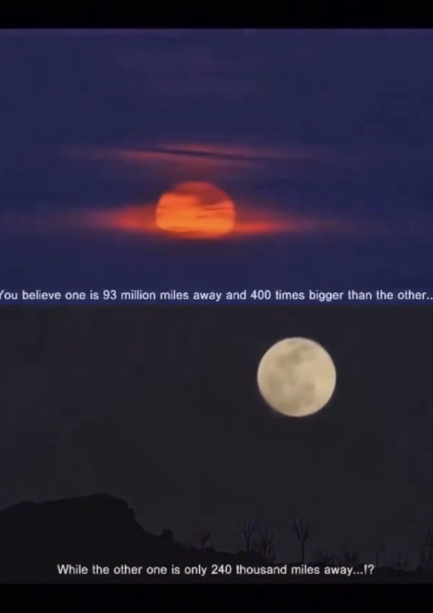 ⚡️🌞 Sol Brah 🌞🐬 tweet media