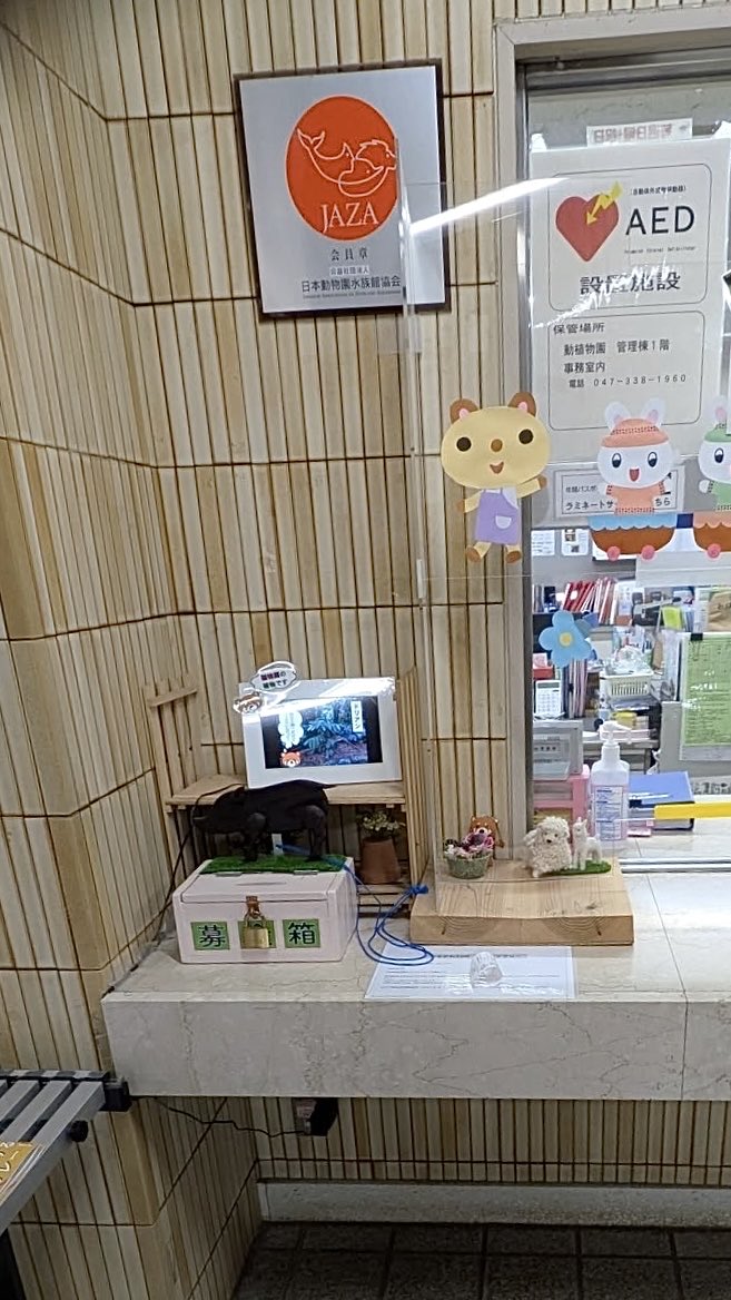 mig_harris's tweet photo. 募金箱あるんです🐒
すごーく控えめなんです🥹
#市川市動植物
#がんばれパンチ https://t.co/kpu2nQx4Uz