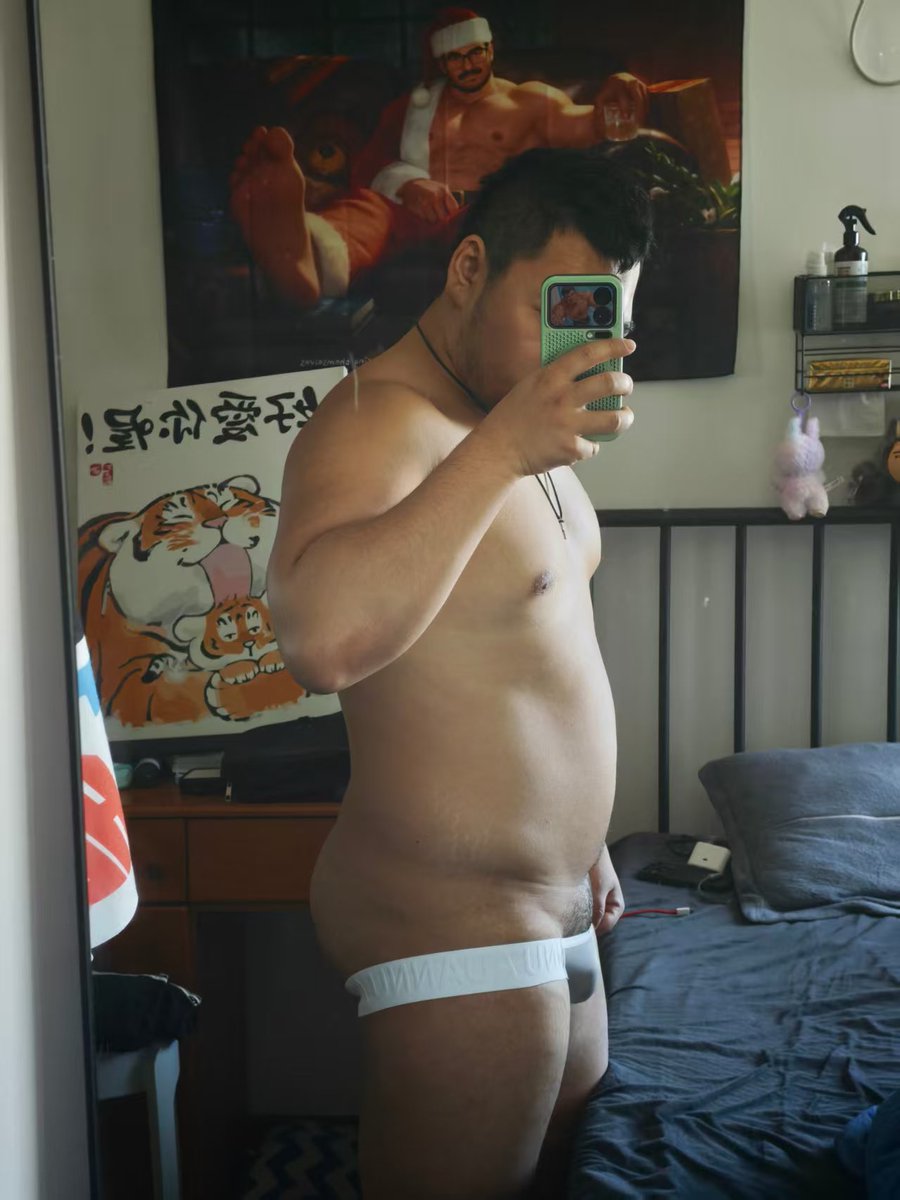 一只大辰Brown tweet media