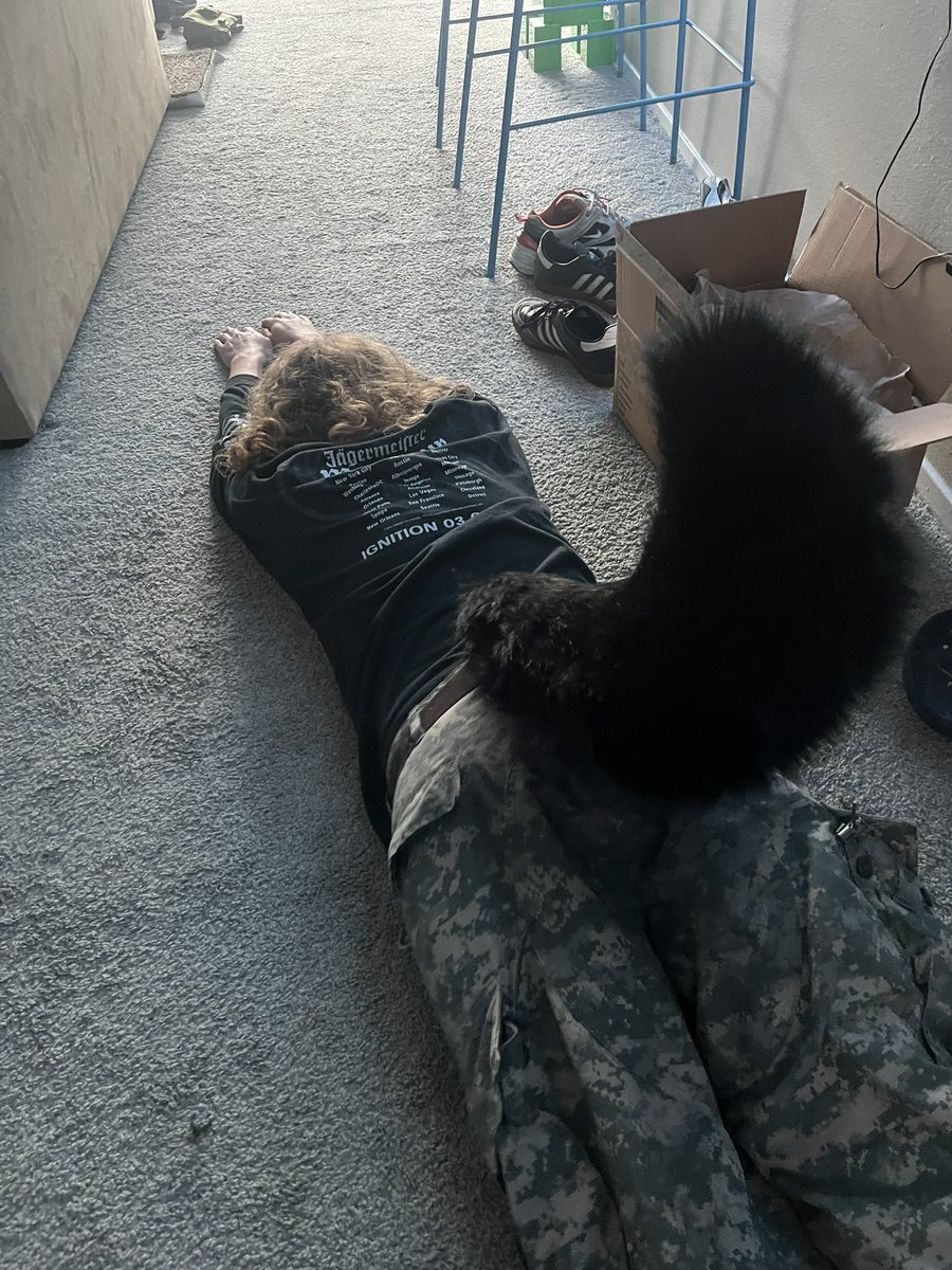 #PACKLIFE SandWolf tweet media