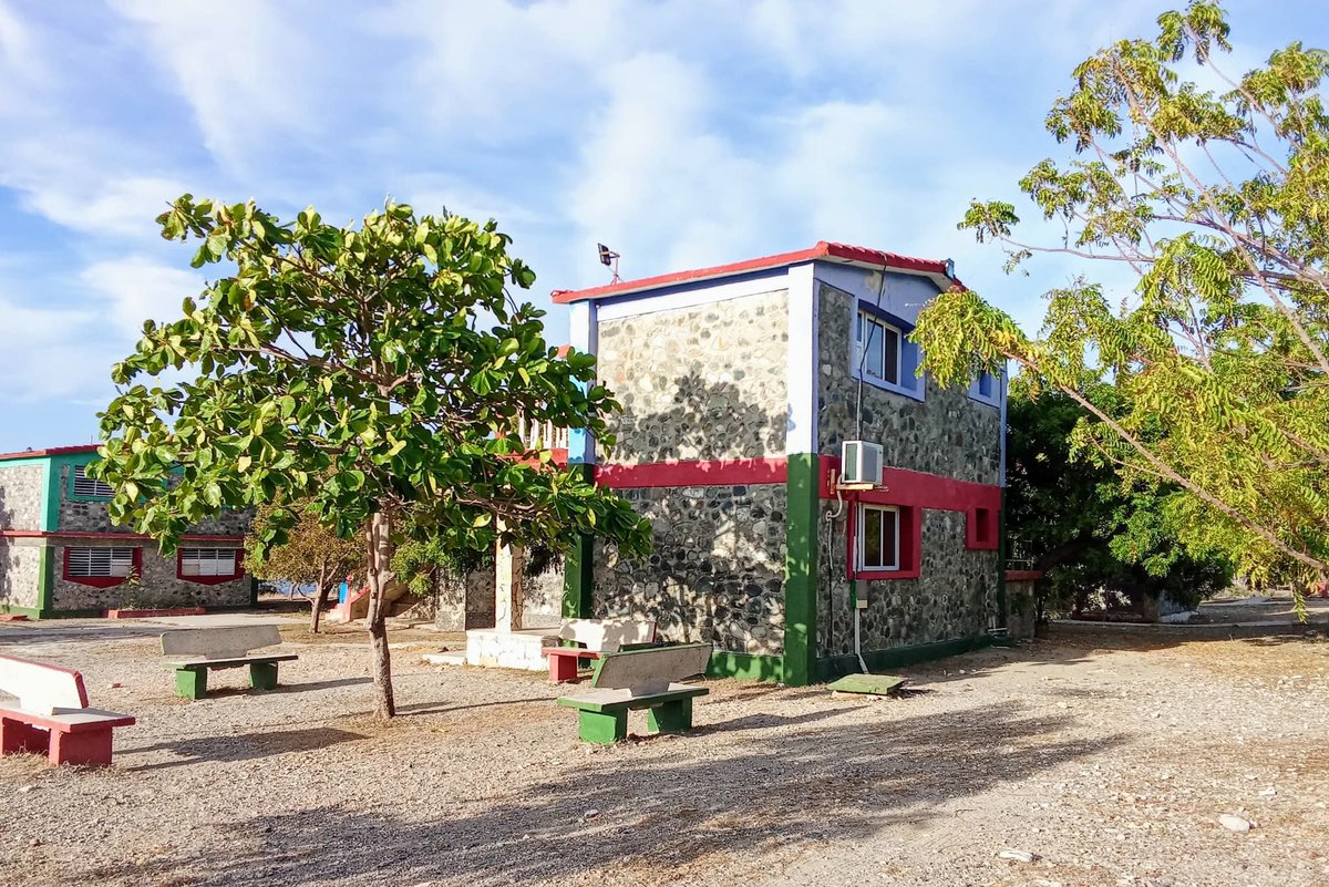 Periódico Venceremos tweet media