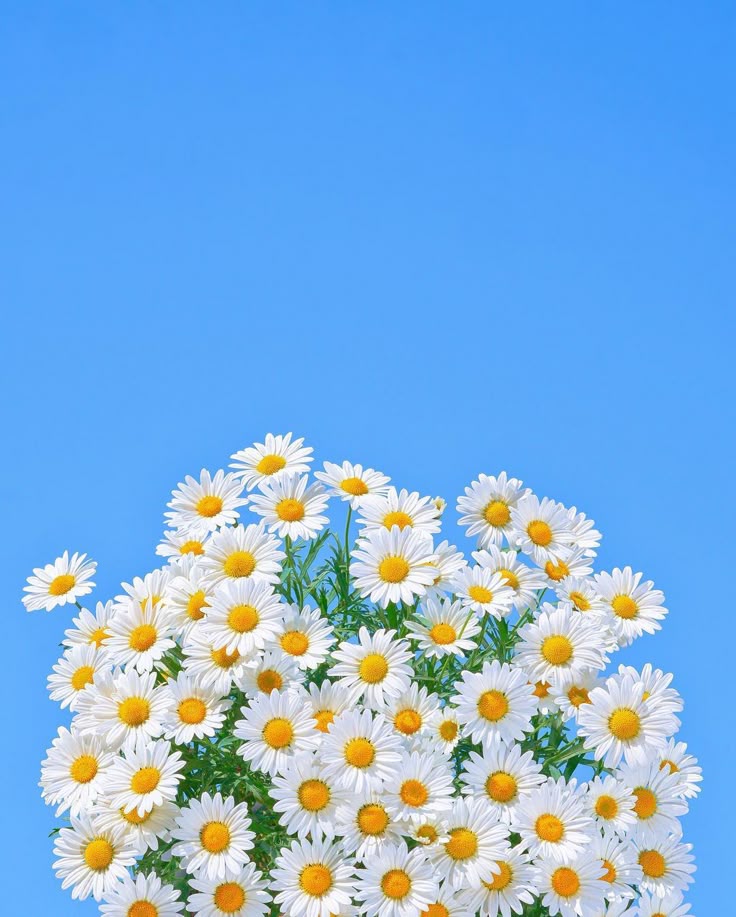 Yeasin Arafat tweet media