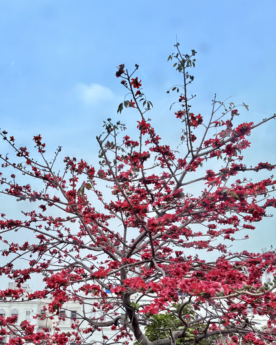 Subhamoy Chakraborti tweet media