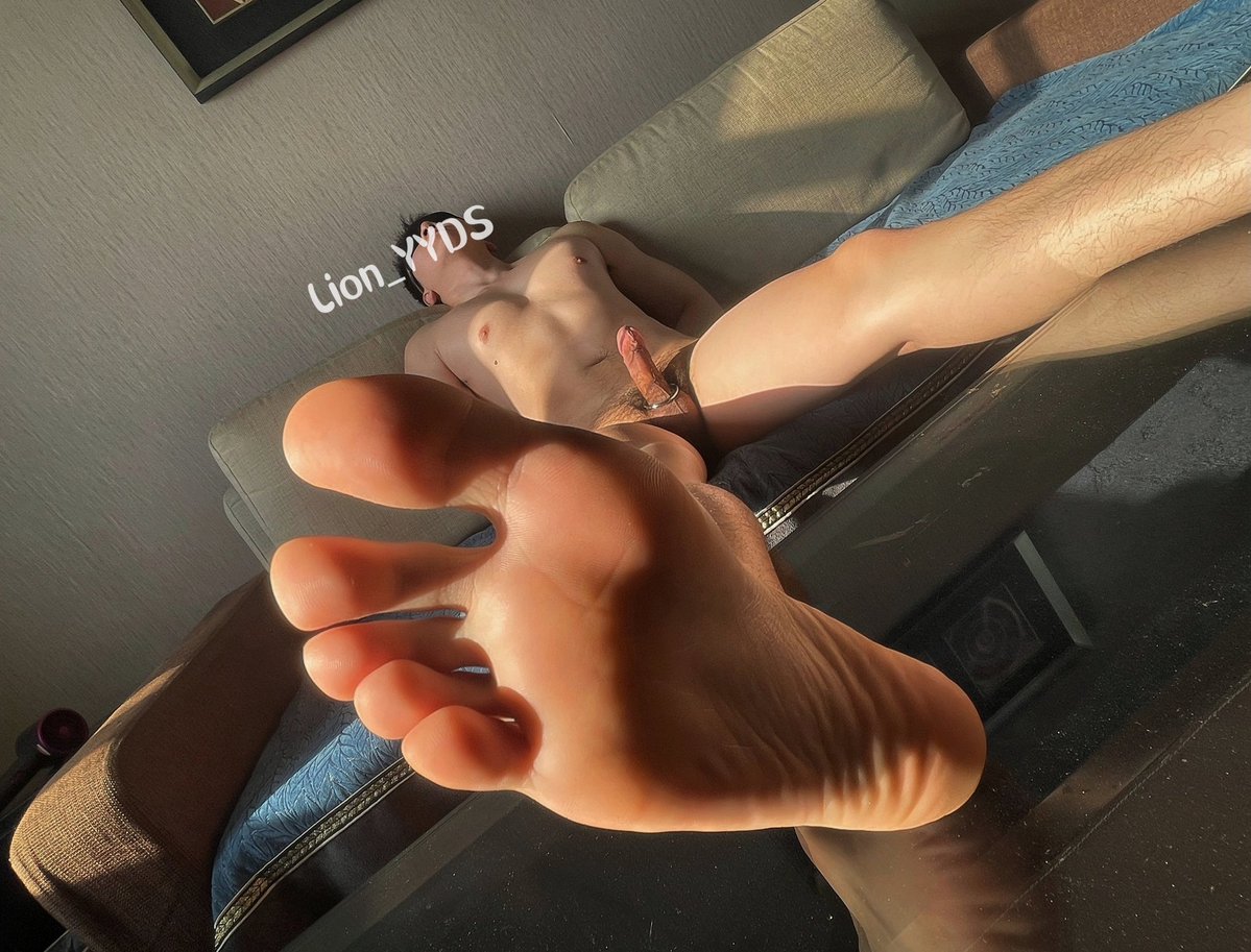 布吃狮子头 tweet media