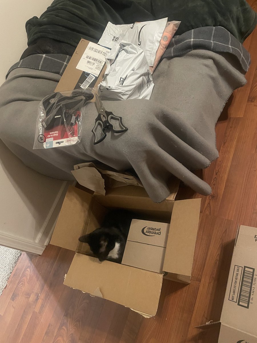 Ember Alert Blaize tweet media