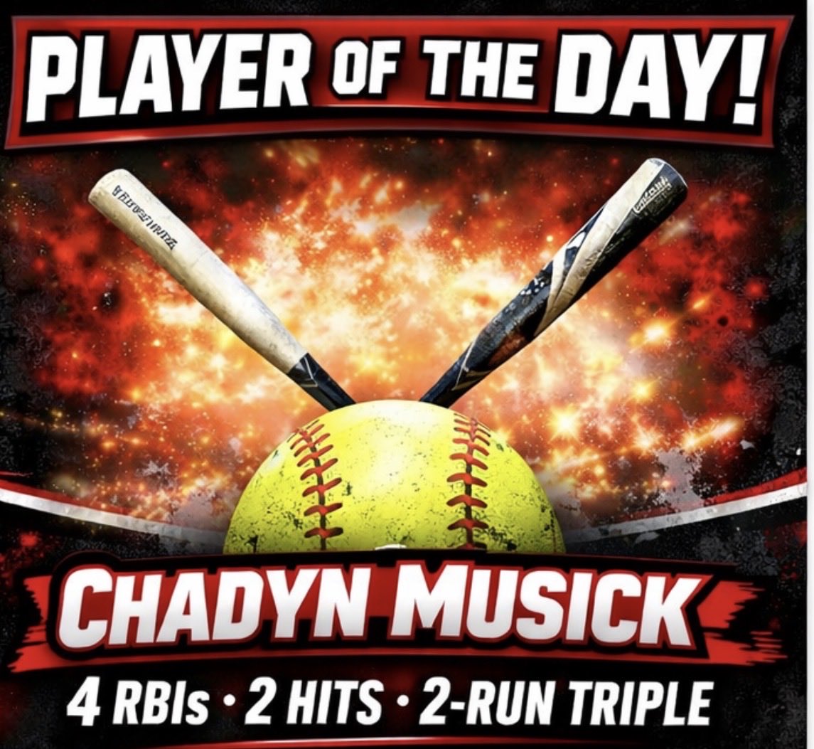 Lebanon High Softball tweet media