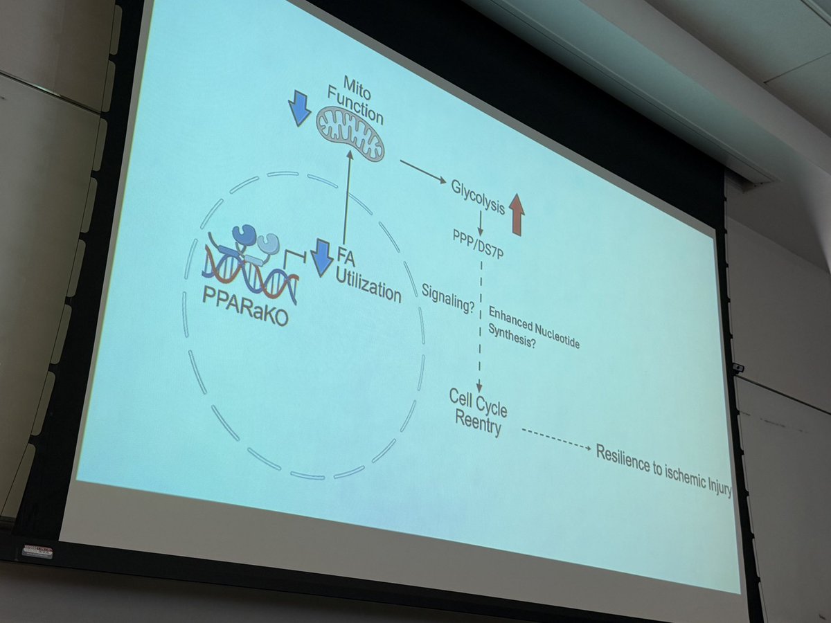 Eduardo Marban, MD, PhD tweet media