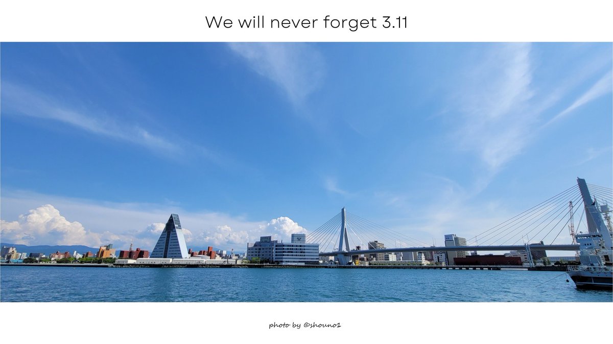 しょ－ tweet media