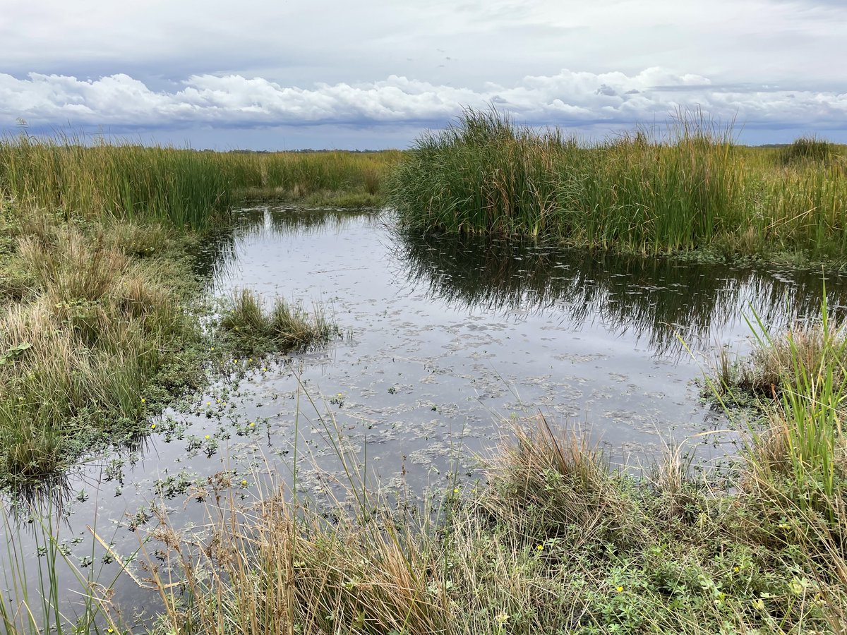 Environmental Water tweet media