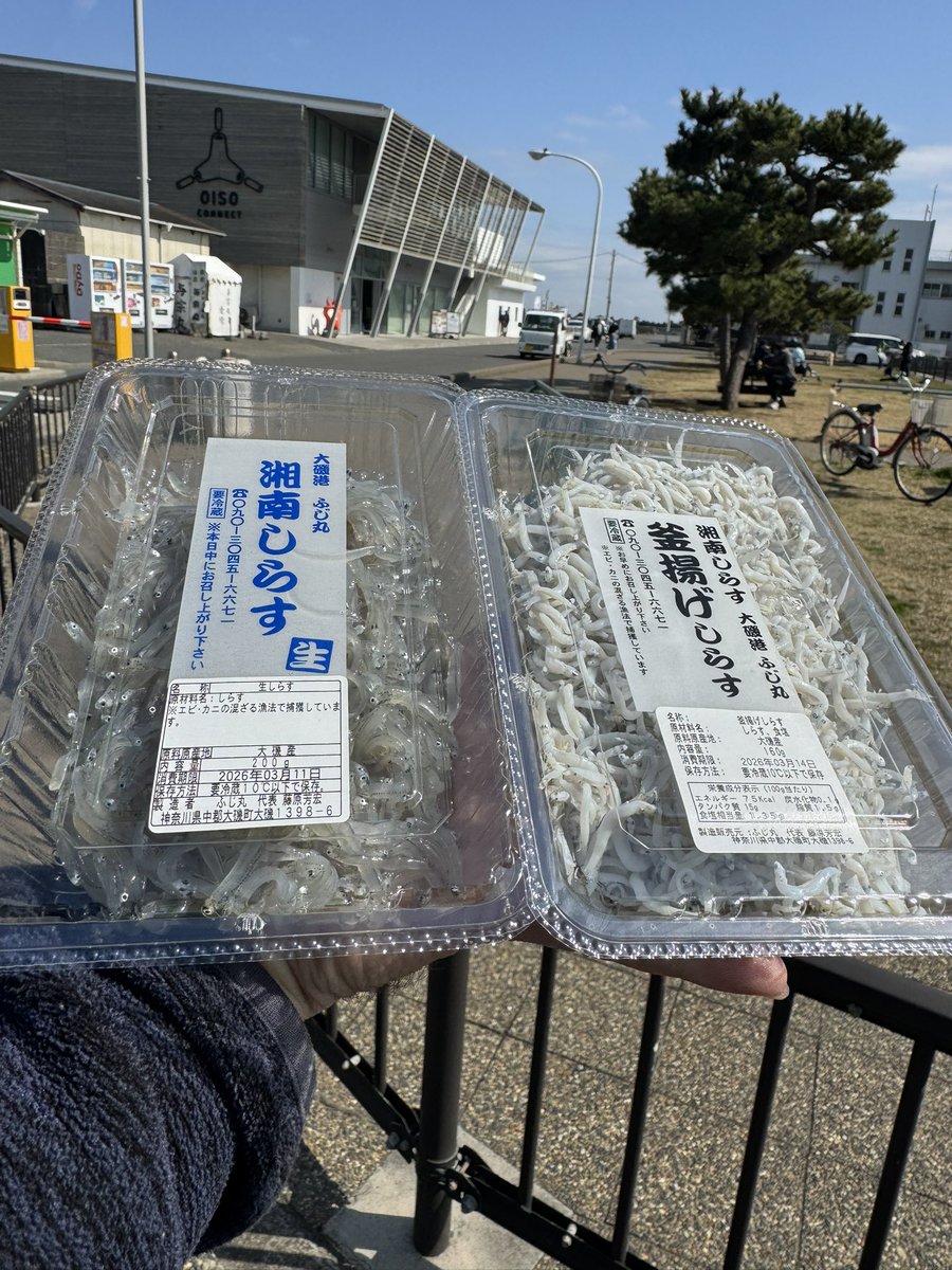 ぐーりん tweet media