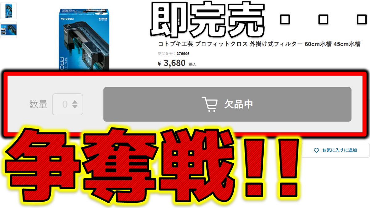 ふぶきテトラ(Fubuki Tetra) tweet media