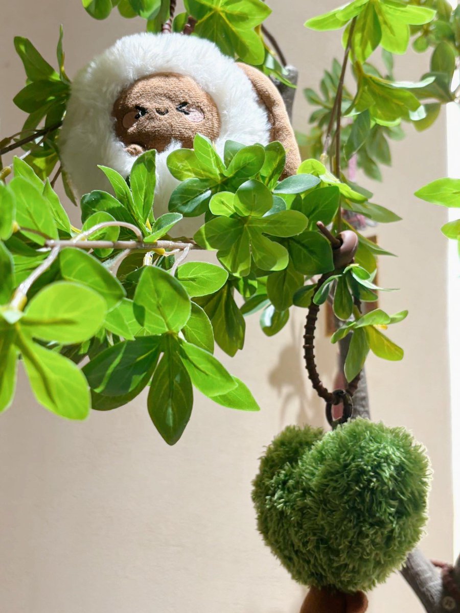 Cycqto Tnoy tweet media