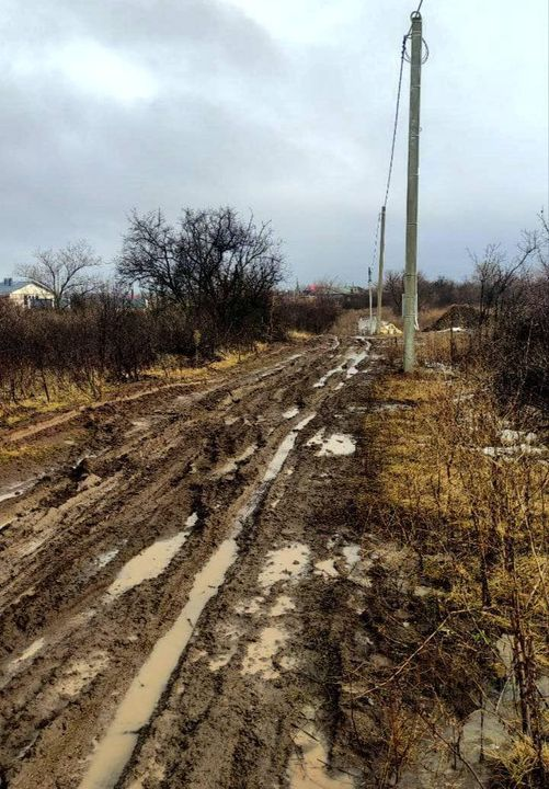 Русские долго запрягают, но потом никуда не едут. Просто запрягают и распрягают, запрягают и распрягают. Это и есть наш особый путь.
—  Григорий Горин 
На фото Саратов, родина говорливого Володина. Вместо тысячи слов.